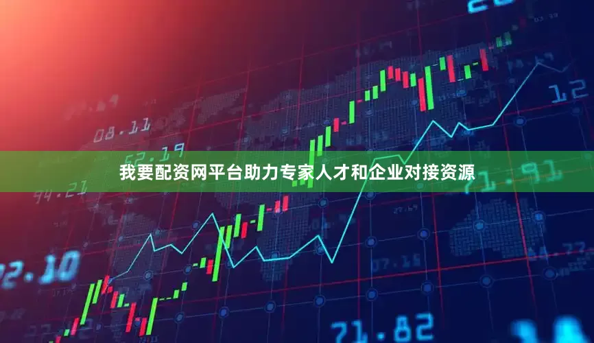 我要配资网平台助力专家人才和企业对接资源