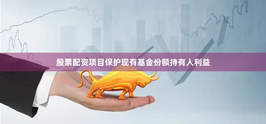 股票配资项目保护现有基金份额持有人利益