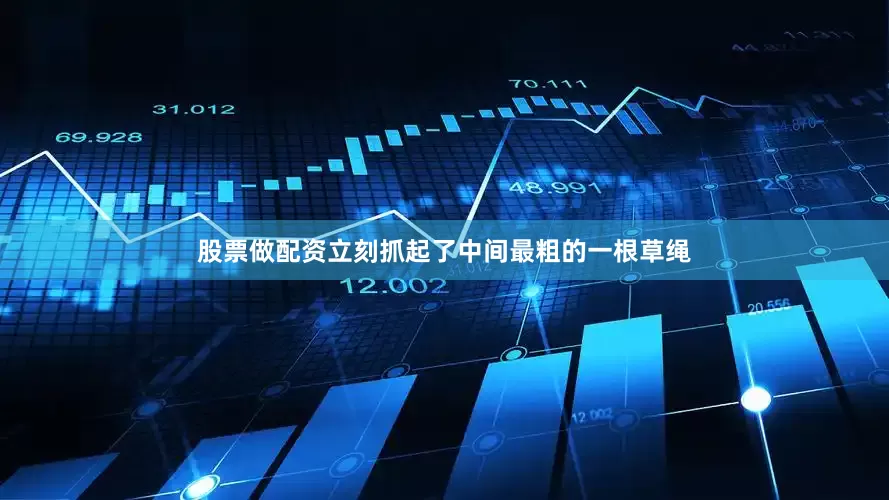 股票做配资立刻抓起了中间最粗的一根草绳